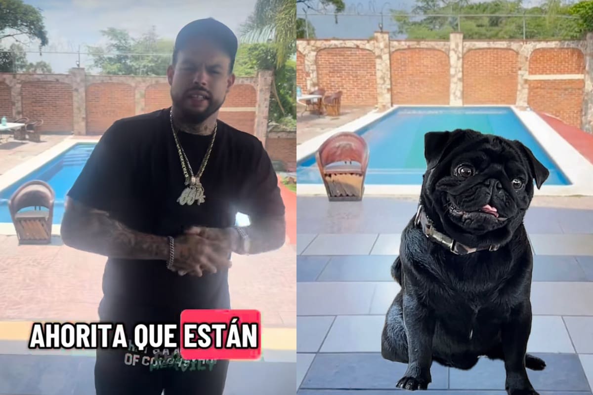 Pepe Aguilar se burla de Emiliano Aguilar con su perro en Instagram