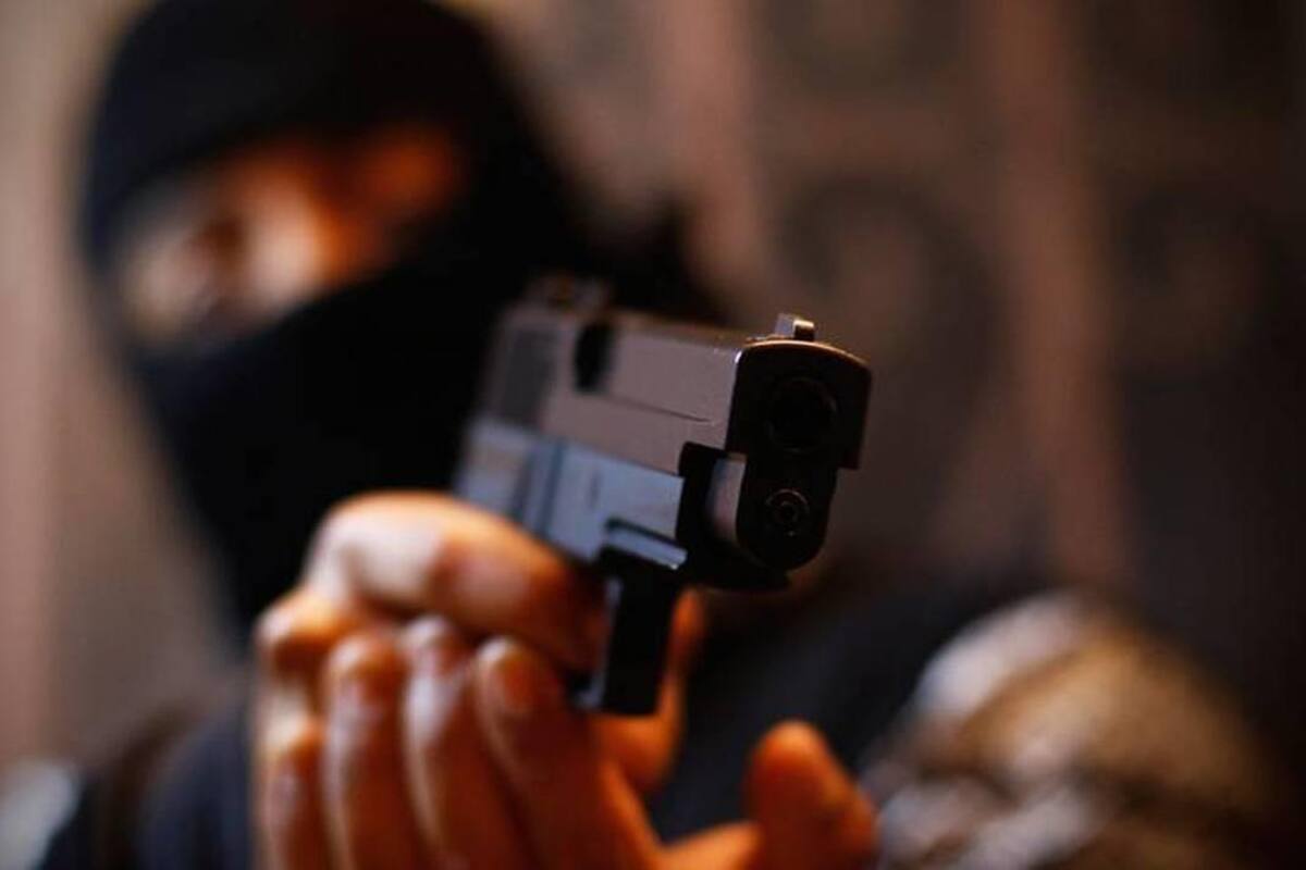 “Crimen, violencia y desempleo”, estudio revela las preocupaciones principales de los mexicanos en 2024