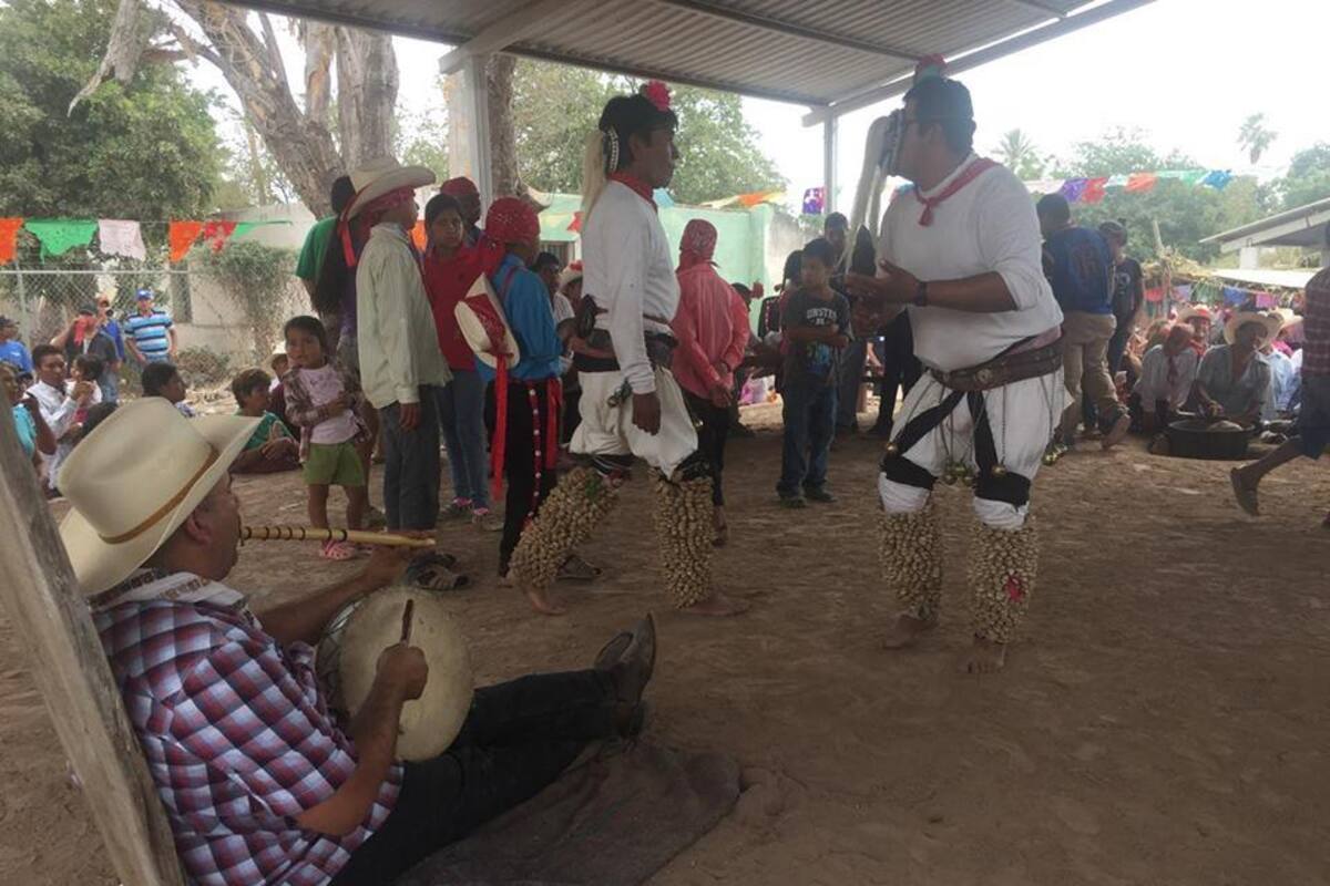 Mantienen yaquis y mayos festividades de la Cuaresma