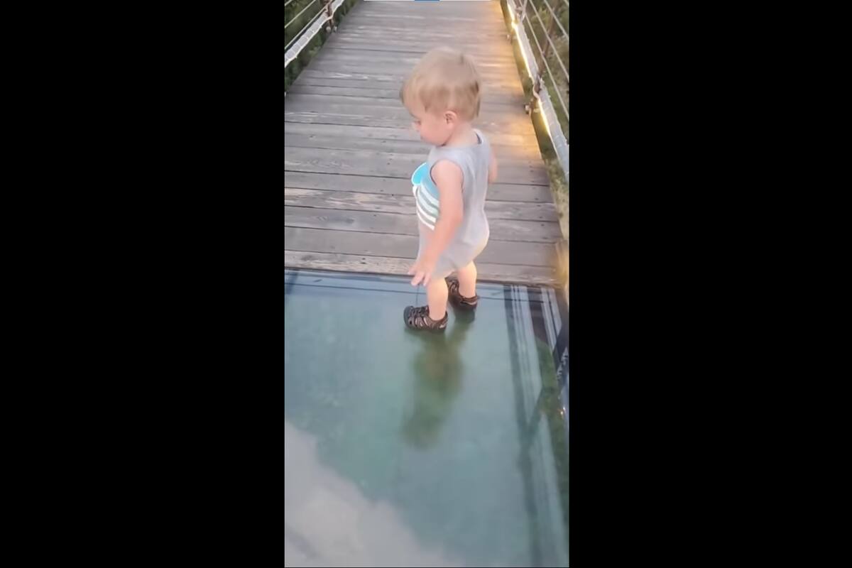 VIRAL: Esta es la reacción de un niño al cruzar puente de cristal