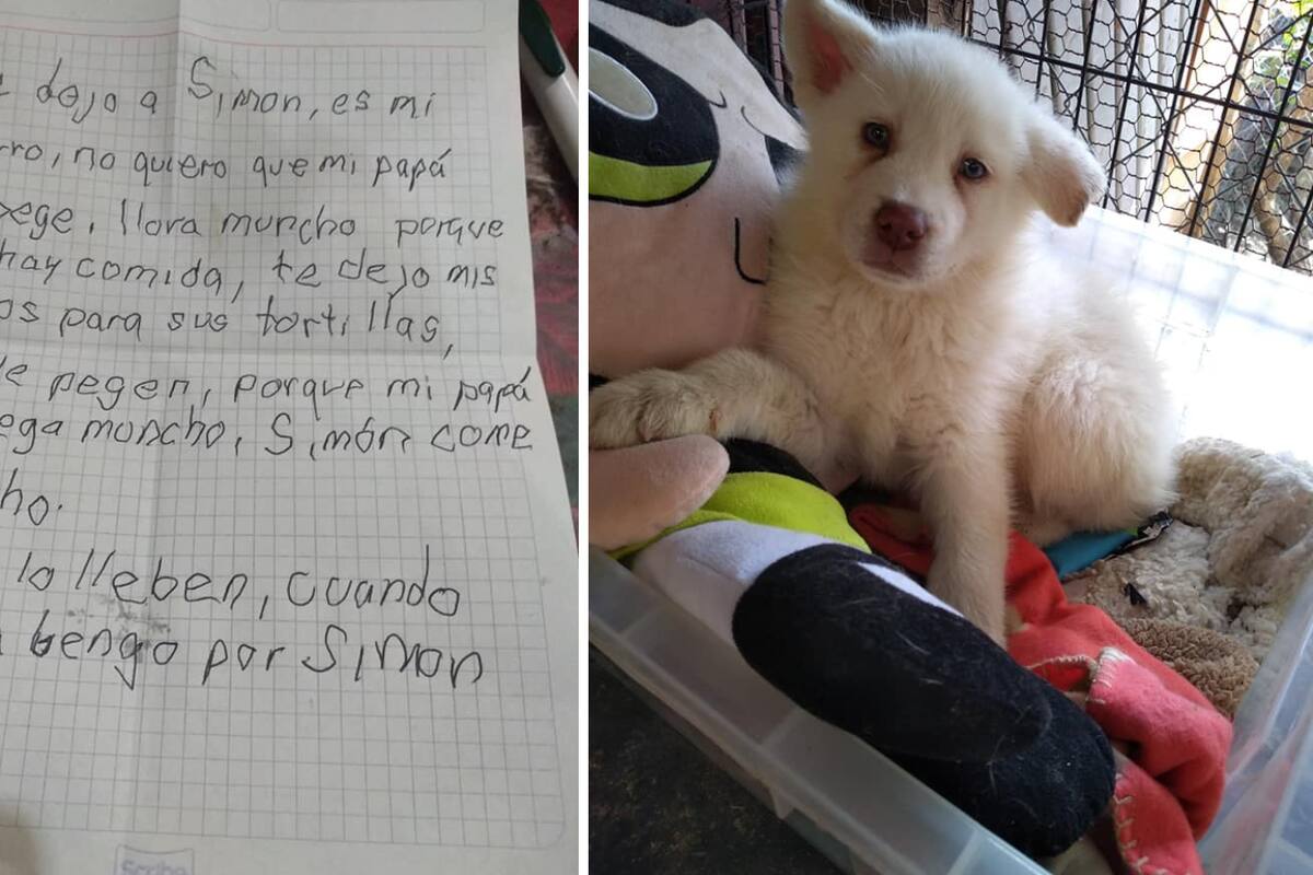VIRAL: Niño envía tierna carta a perrito que dejó en refugio para salvarlo de su papá