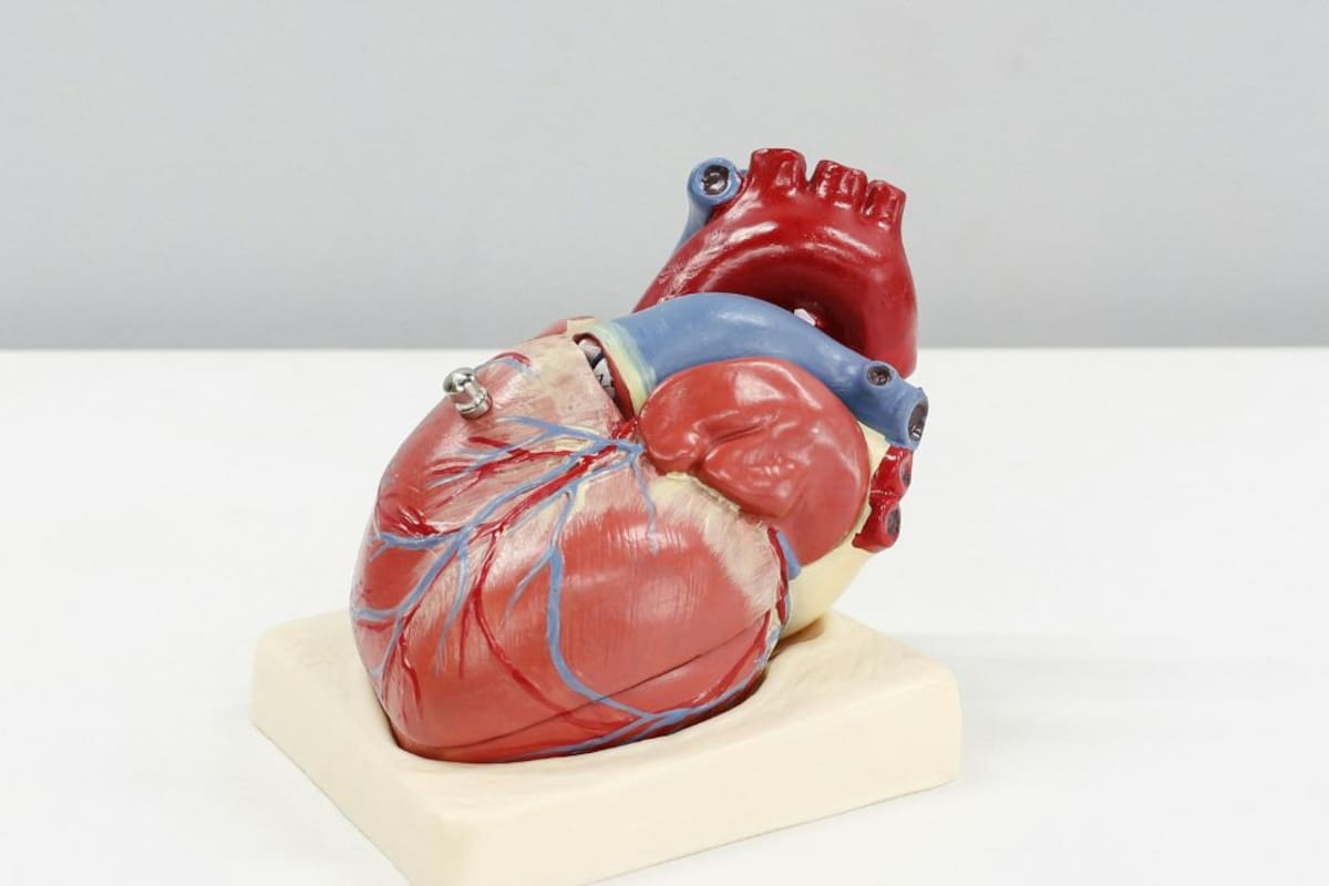 La hora exacta a la que debes irte a dormir para reducir un 25% el riesgo de infarto, según la ciencia