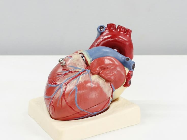 La hora exacta a la que debes irte a dormir para reducir un 25% el riesgo de infarto, según la ciencia