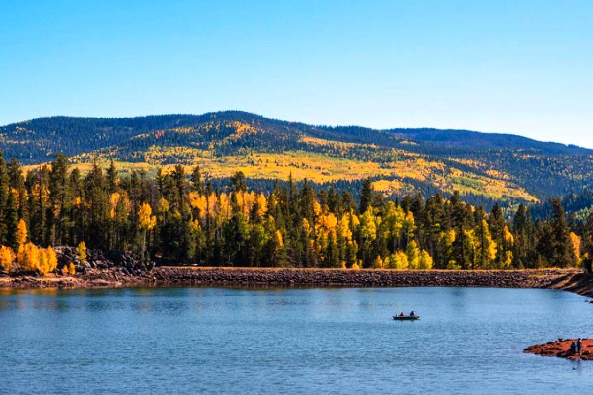 Escapa del calor en Pinetop-Lakeside