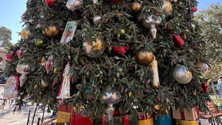 Así fue encendido el árbol navideño en Disneyland