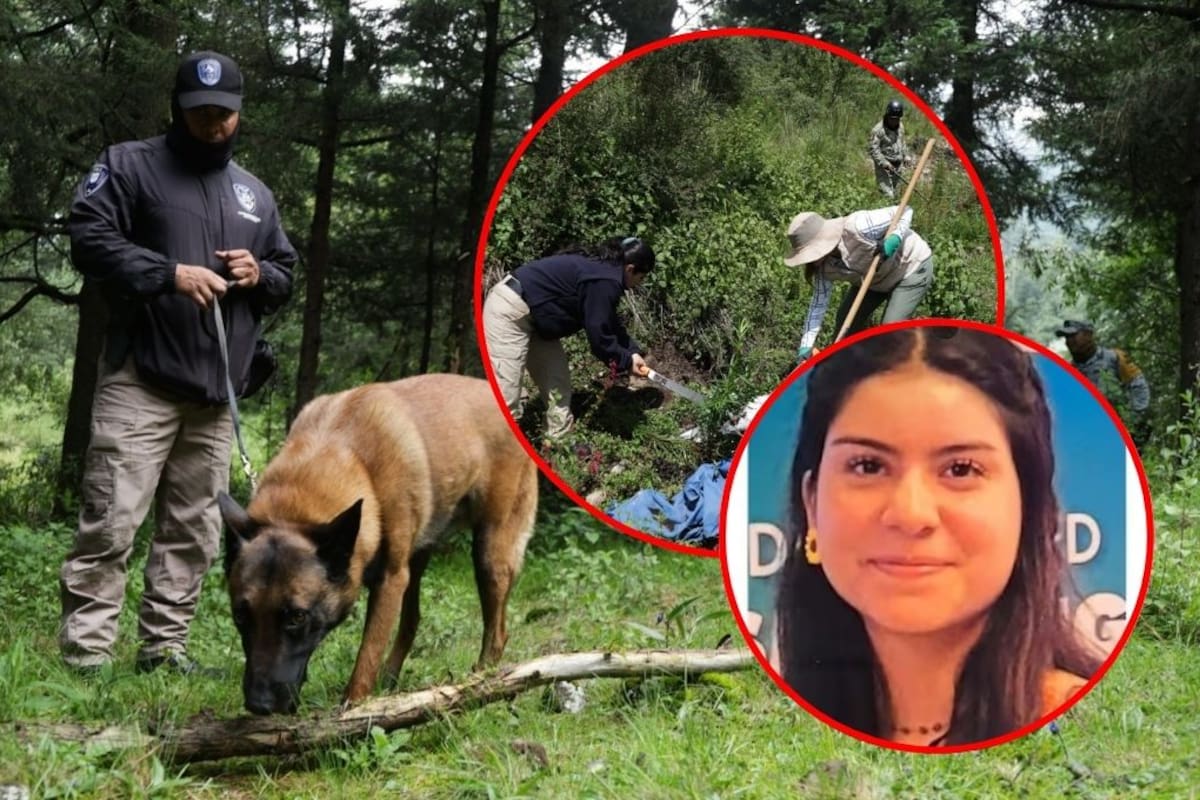Movilización masiva por Ana Amelí: más de 200 personas recorren el Pico del Águila en busca de la joven desaparecida
