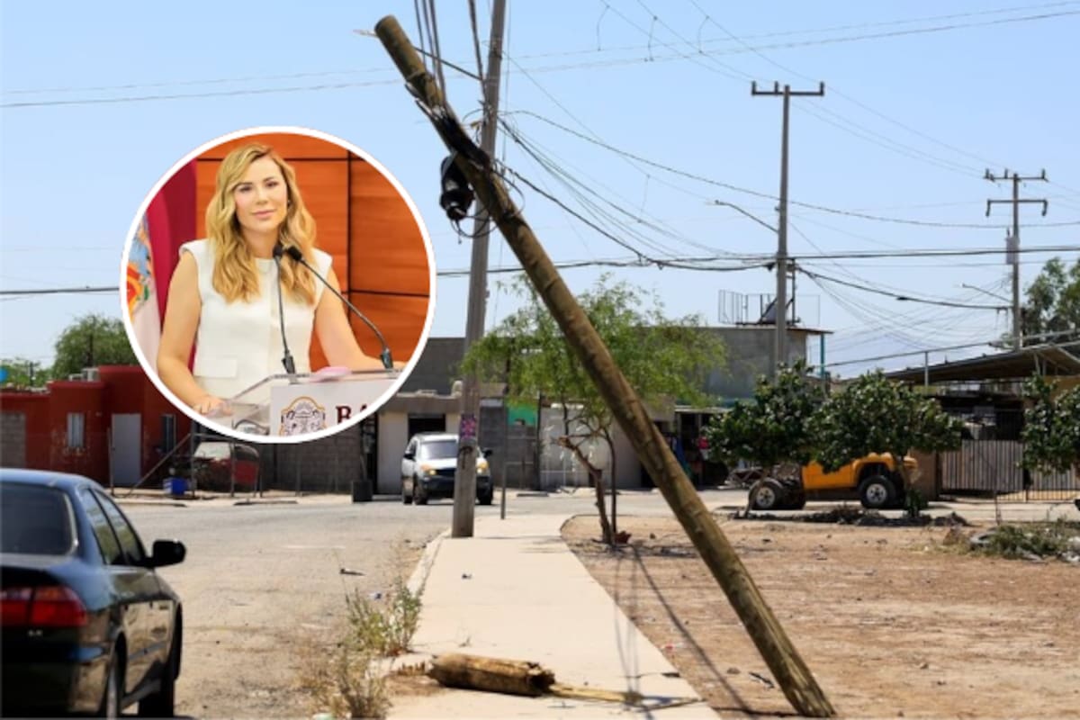 Los 4 mil postes nuevos anunciados por CFE sí serán para Mexicali y San Felipe; asegura Marina del Pilar