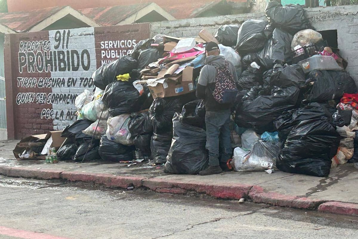 Señalan falta de programa de manejo de residuos en el Ayuntamiento de Ensenada