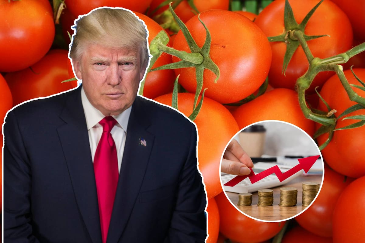 Arancel de 17% impuesto por Trump reduce siembra en México y eleva el precio del tomate hasta 50 pesos por kilo, impactando inflación y consumo
