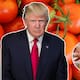 Arancel de 17% impuesto por Trump reduce siembra en México y eleva el precio del tomate hasta 50 pesos por kilo, impactando inflación y consumo