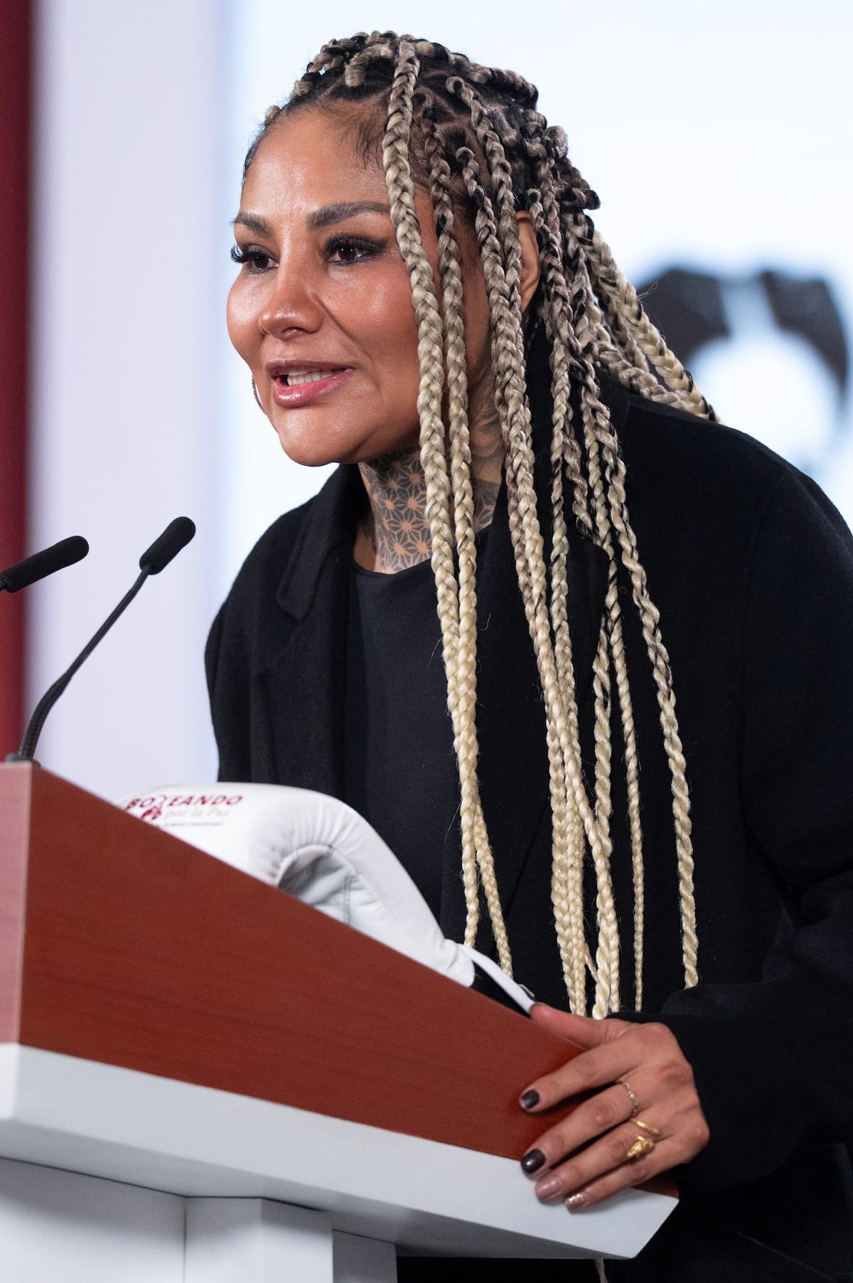 “Boxeando por la Paz”: el nuevo programa que dará salario y seguro a 5 mil boxeadores y clases gratuitas a 90 mil alumnos