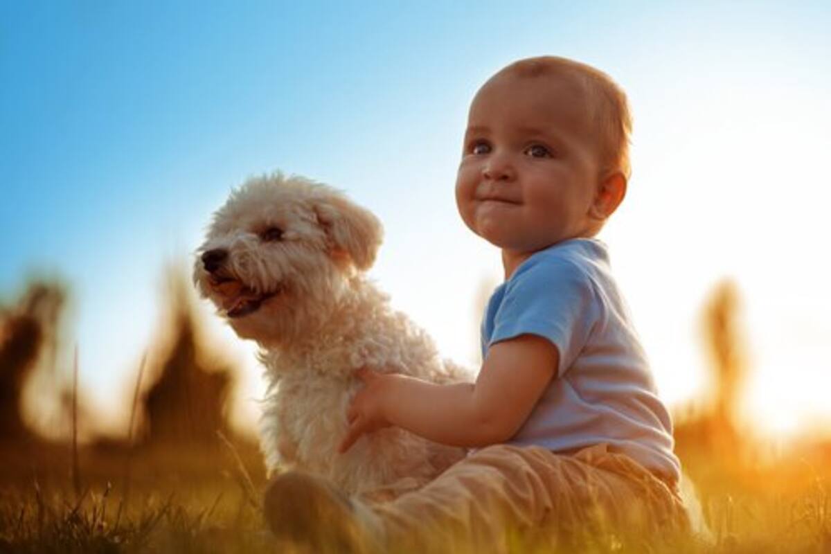 Mitos y realidades sobre la convivencia de un bebé con un perro o un gato