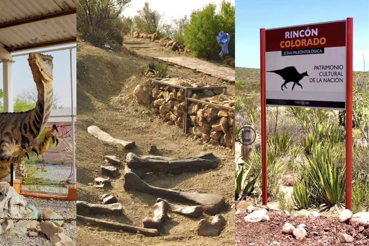 ¿Dónde es y cuánto cuesta visitar Rincón Colorado, la primera zona paleontológica en México?