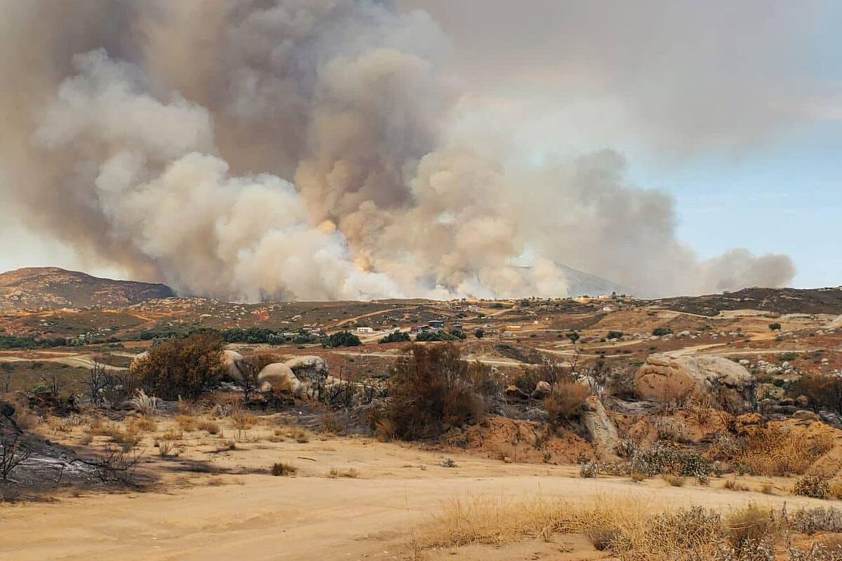 Bomberos Tecate luchan contra tres incendios activos
