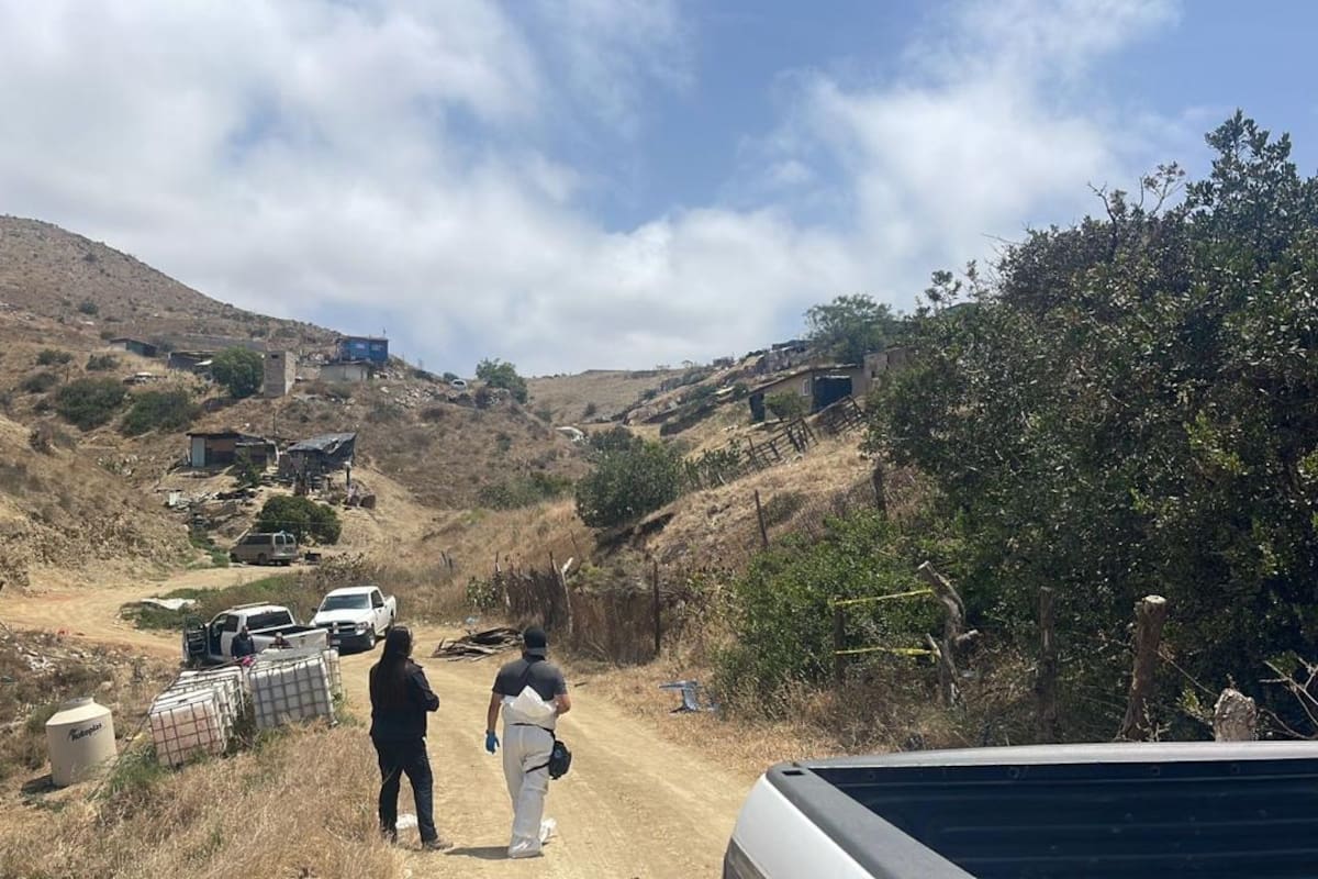 Avanzan investigaciones por caso de perrito asesinado a golpes en Rosarito
