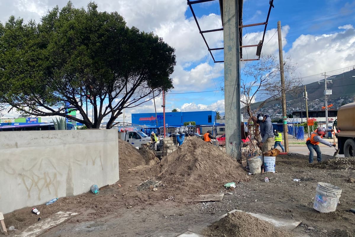 Modificar terrenos forestales puede afectar flujos de agua