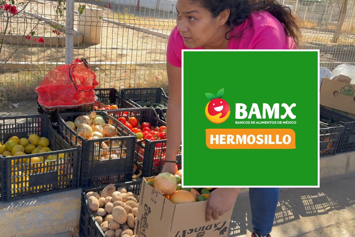 Banco de Alimentos de Hermosillo ofrece paquetes de alimentos desde 160 pesos: ¿cómo obtenerlos y qué incluyen?