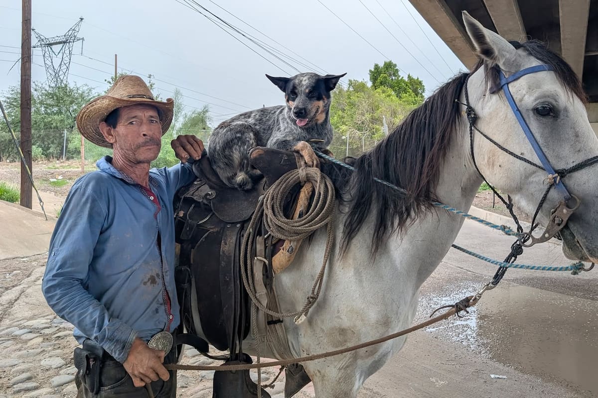 Julián Corrales Córdova y su compañera fiel “La Karla” llaman la atención en San Pedro El Saucito al pasear juntos en caballo