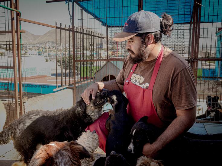 Refugio en Tijuana alberga a más de 60 perros rescatados y pide apoyo ciudadano