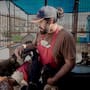 Refugio en Tijuana alberga a más de 60 perros rescatados y pide apoyo ciudadano