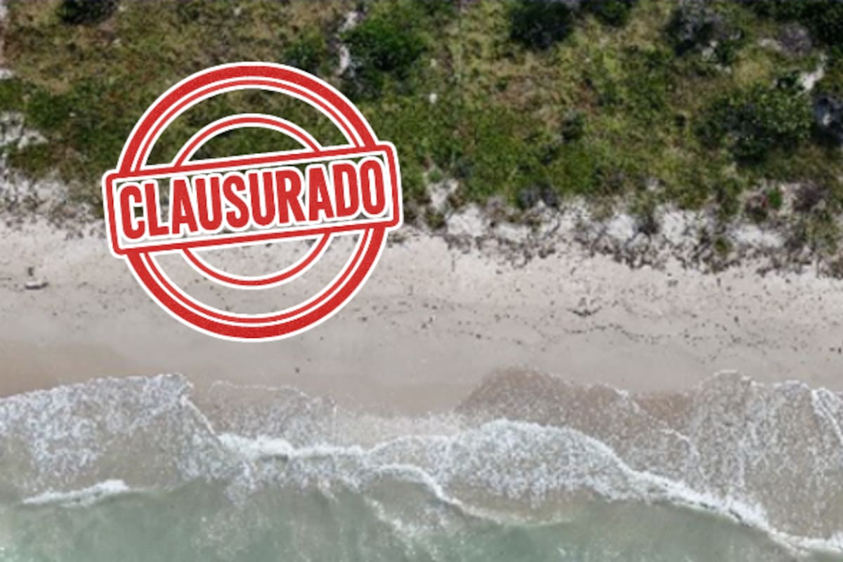 Profepa clausura dos predios en Celestún por obras ilegales que dañaron dunas y matorrales costeros