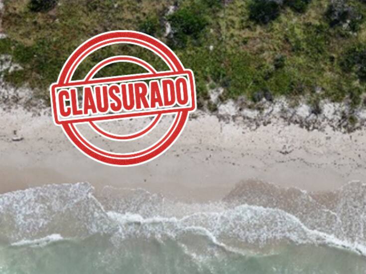 Profepa clausura dos predios en Celestún por obras ilegales que dañaron dunas y matorrales costeros