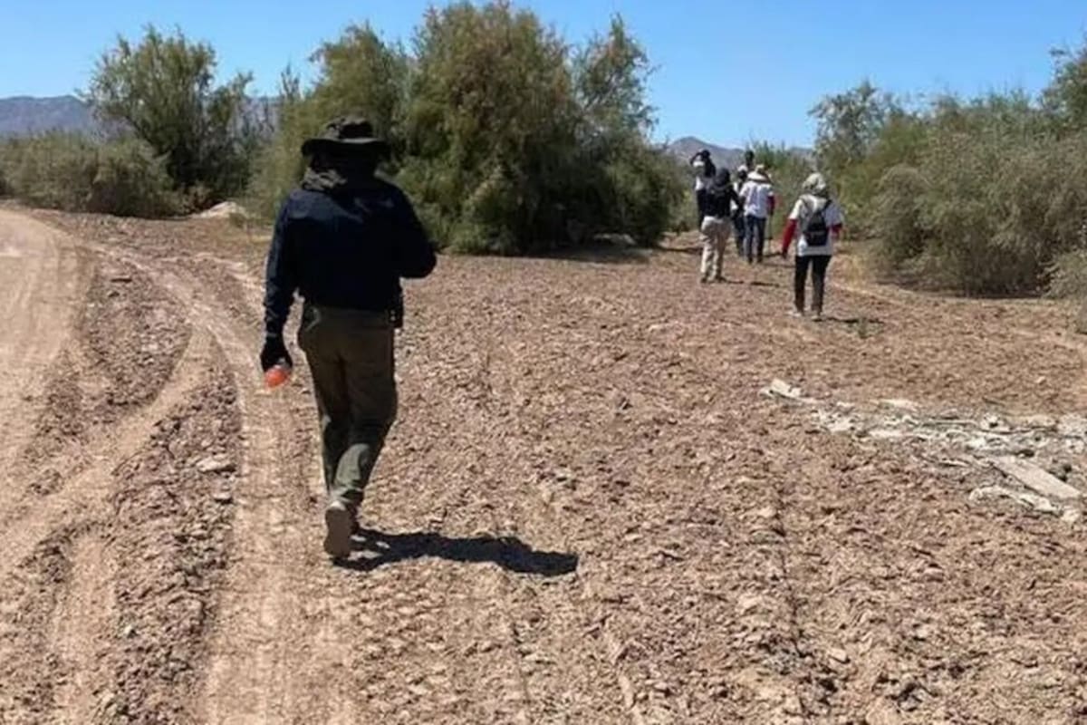 Se espera que en la próxima sesión se vote Ley de Desaparecidos