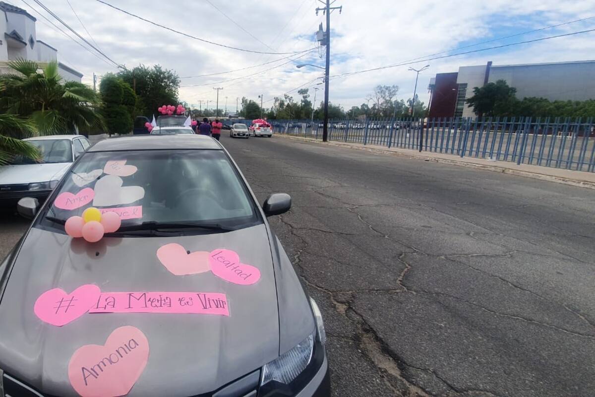 Falta medicina para atacar el cáncer de mama