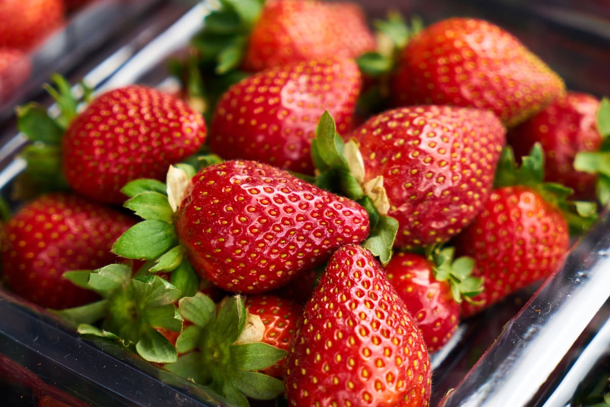 ¿Cuál es la manera correcta de limpiar las fresas para desinfectarlas?