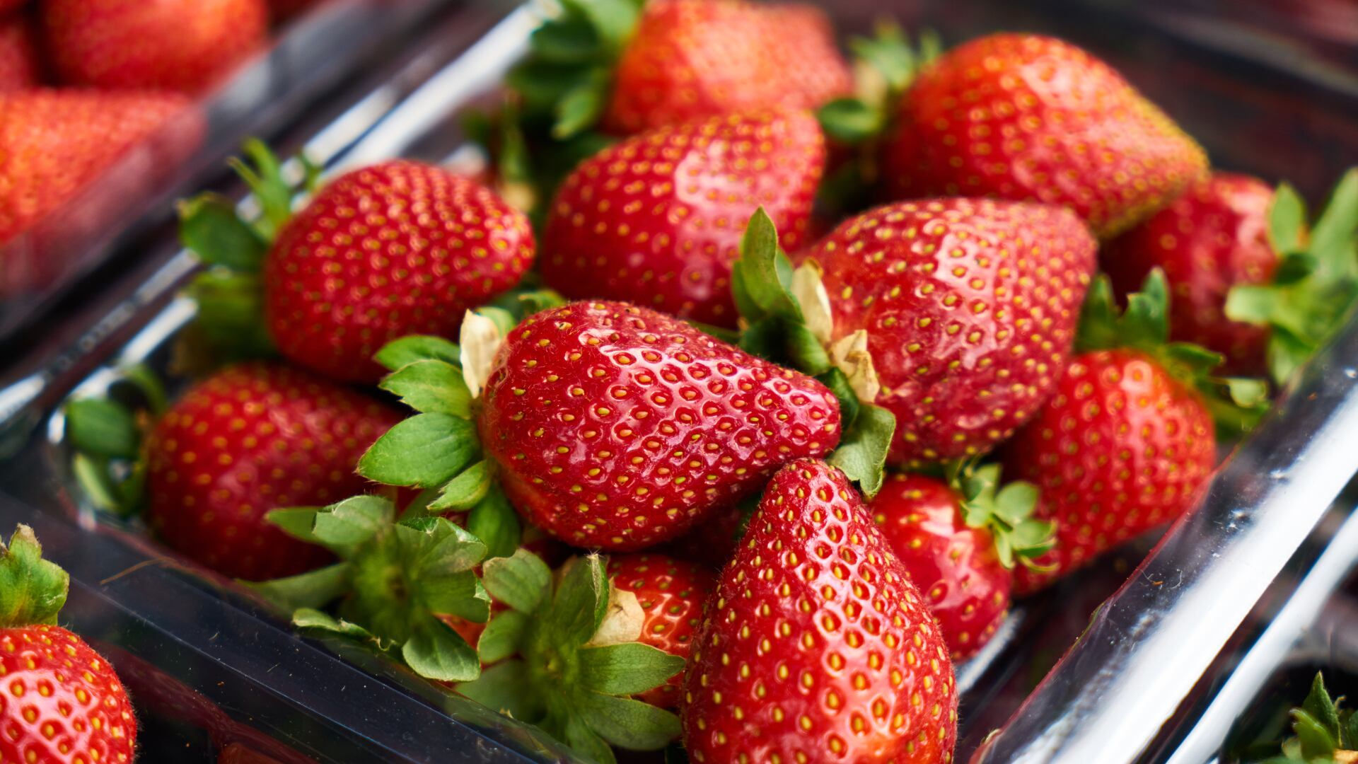 Para una limpieza profunda de las frutillas, que suelen tener residuos de pesticidas y bacterias, se recomienda sumergirlas de 5 a 10 minutos en una solución de una cucharada de bicarbonato de sodio por litro de agua/Foto: Canva