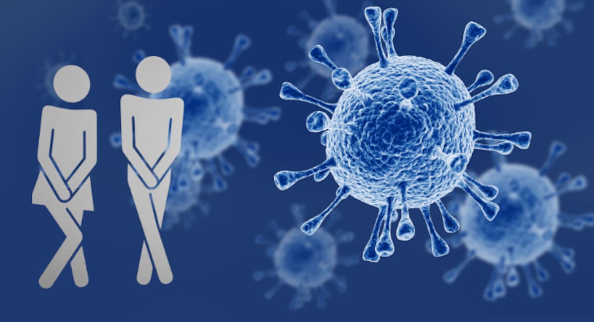 ¿Diarrea común o infección por Cyclospora? Estas son las diferencias, síntomas y riesgos de deshidratación que debes conocer