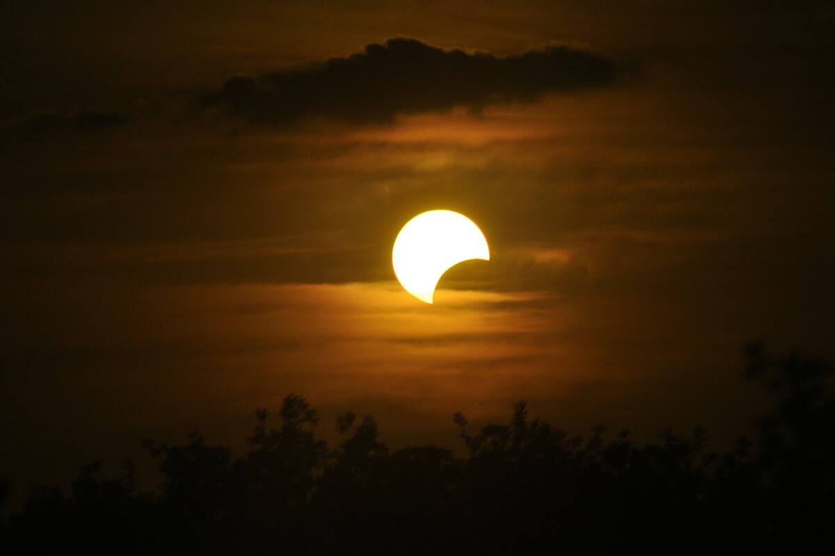 Eclipse solar total 14 de diciembre 2020: los efectos de los eclipses sobre la Tierra