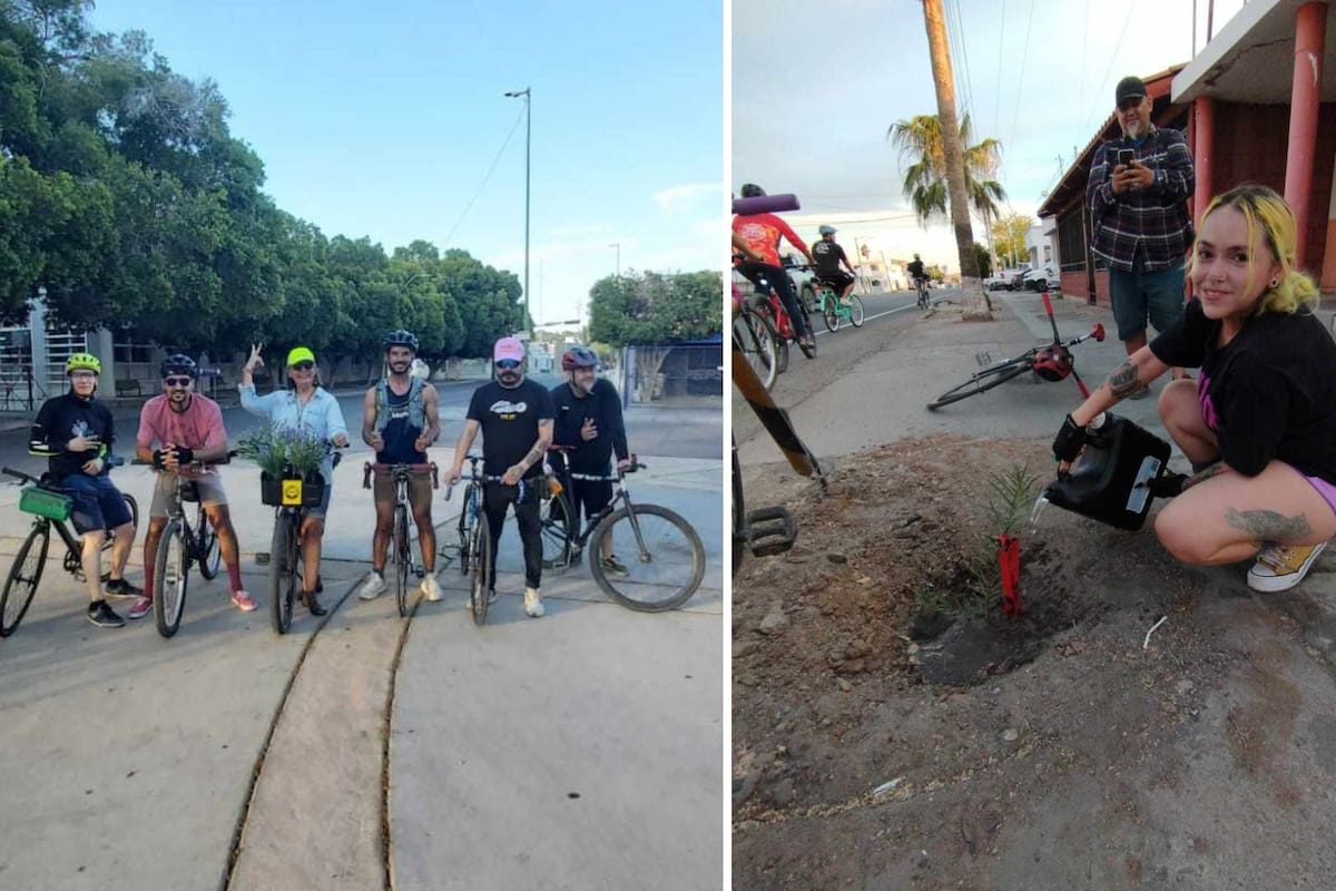Colectivo Bikes and beers ha plantado 30 árboles y hacen un llamado a la sociedad para su cuidado