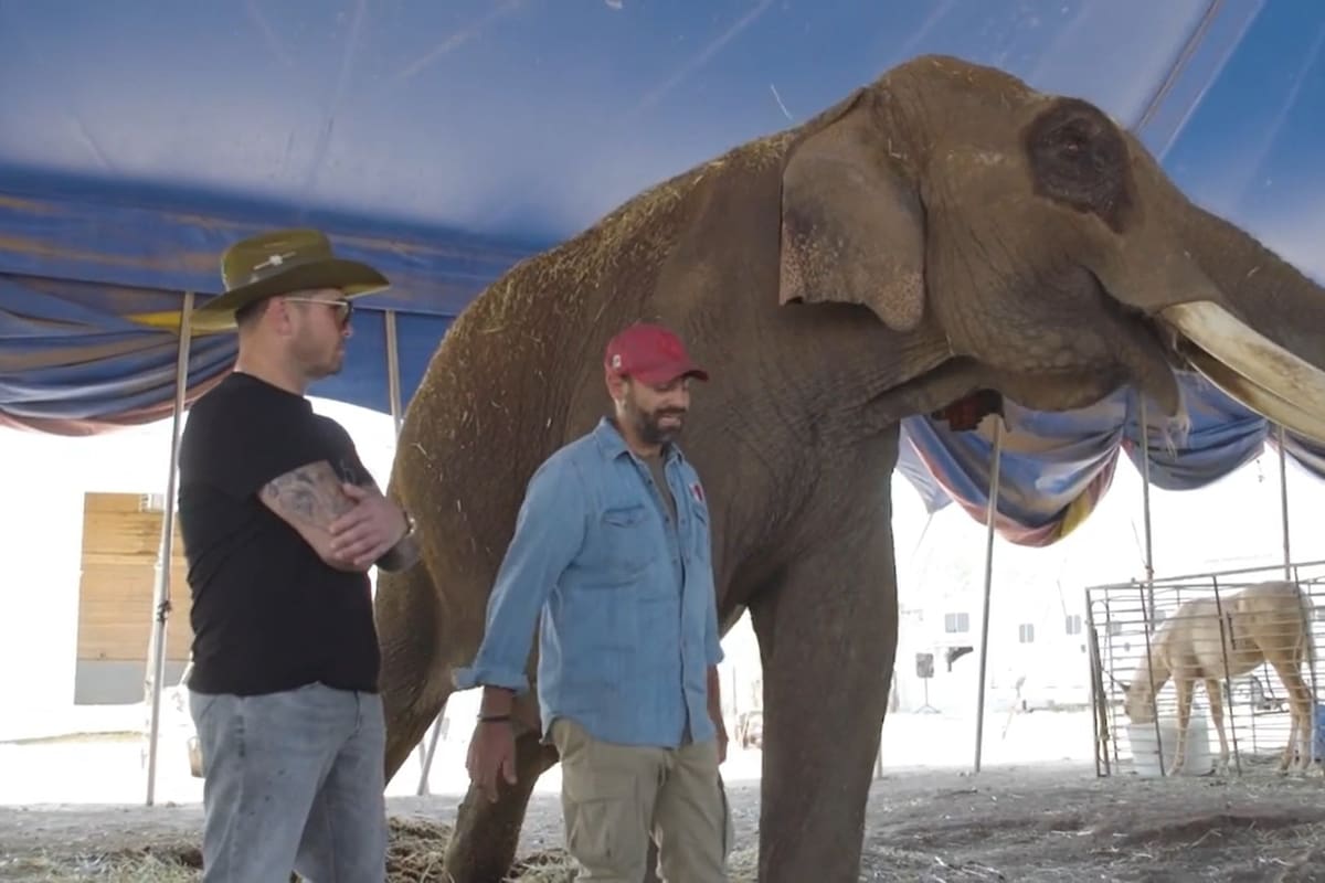 Acusan a Arturo Islas Allende de falso ambientalista