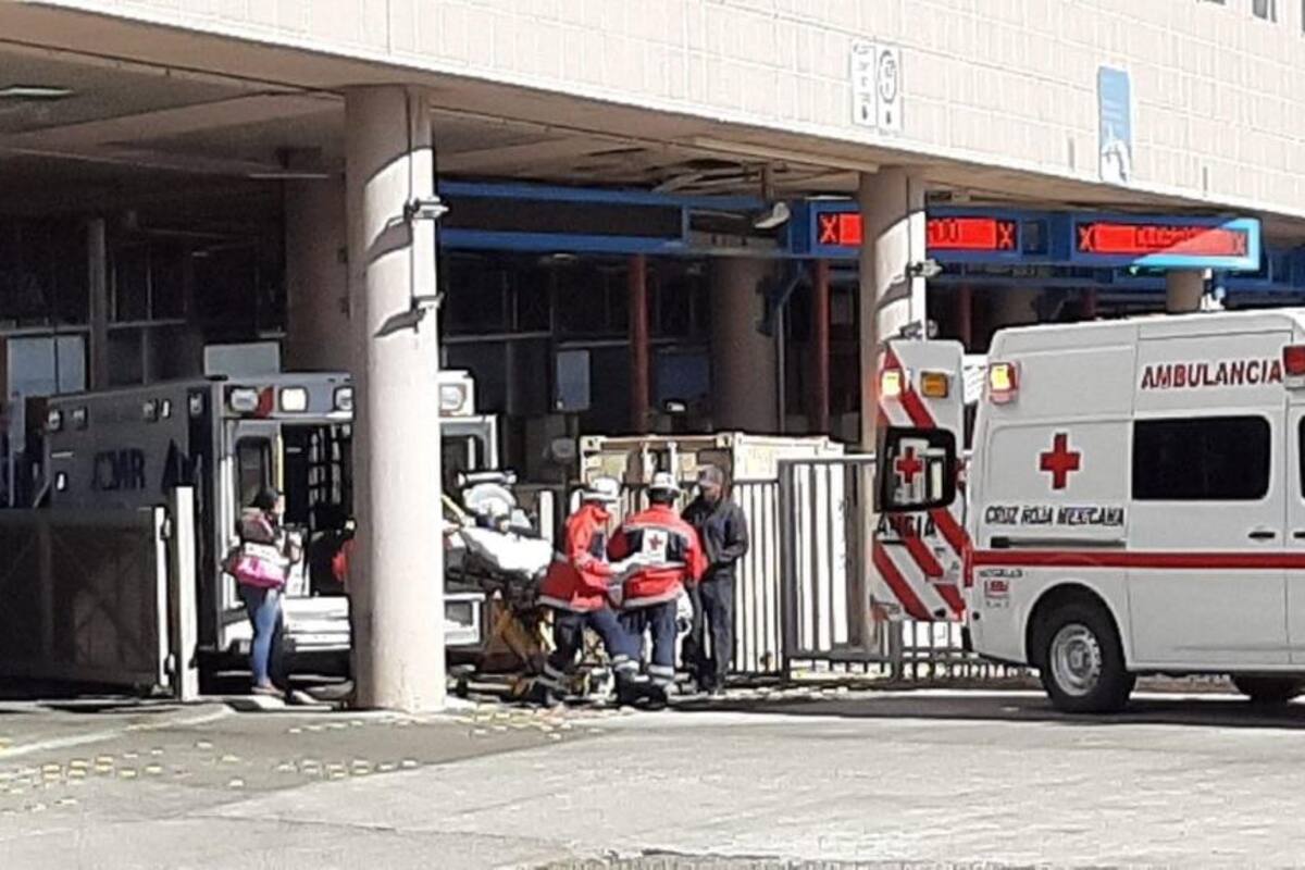 Regresa a casa niño atacado por jauría