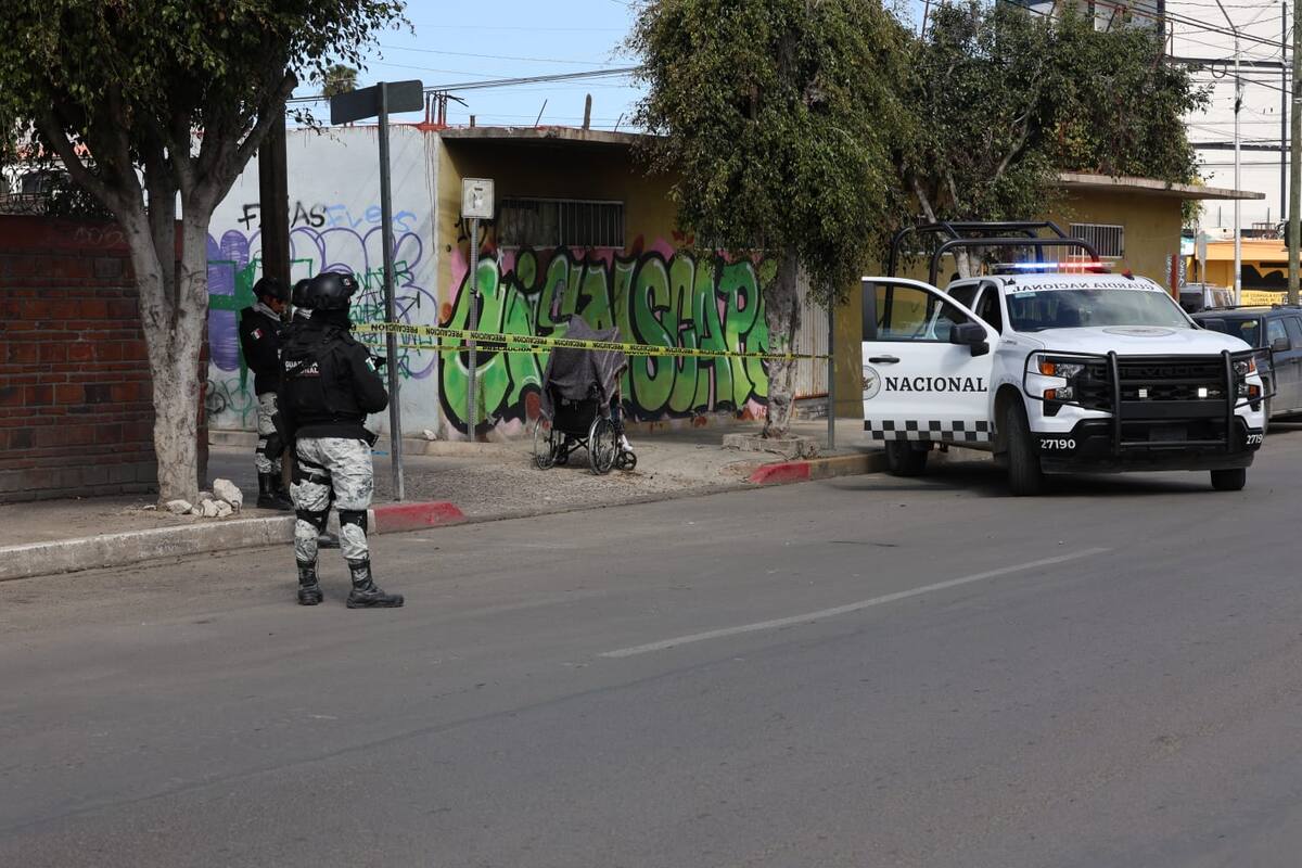 El hallazgo se registró la mañana de este viernes.