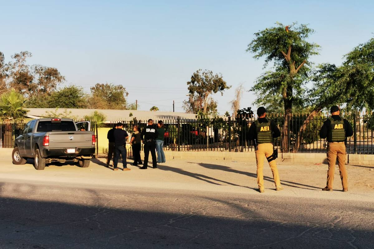 Inicia carpeta de investigación por caso de maltrato animal en Granjas Santa Cecilia