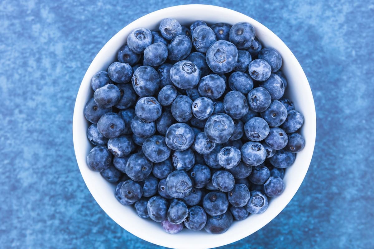 Estudio revela cómo los arándanos benefician a la memoria y mejoran la calidad del sueño