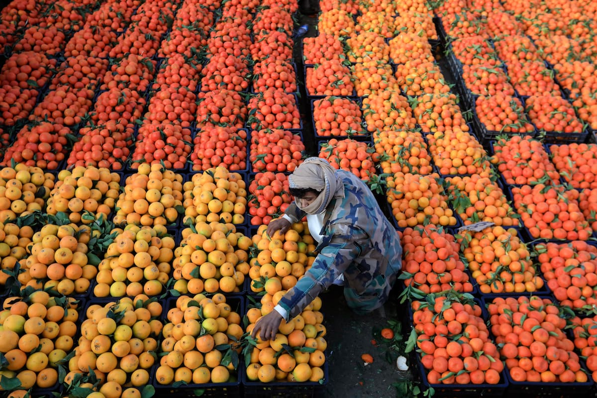 Lo último que la familia de Loan Danilo Peña supo del niño antes de desaparecer es que fue por naranjas al monte. EFE/YAHYA ARHAB