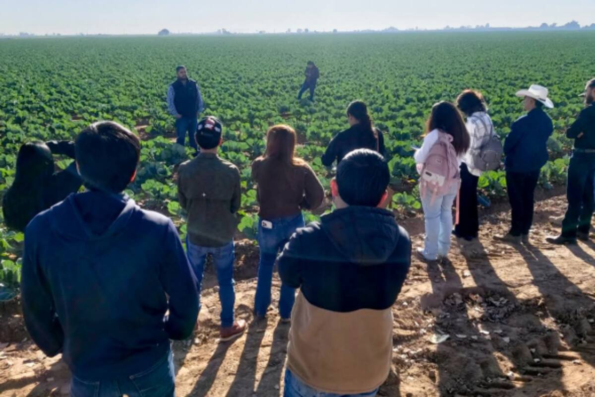 Práctica de campo en Entomología fortalece la formación agrícola de estudiantes de la UES