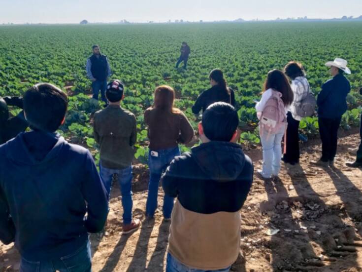 Práctica de campo en Entomología fortalece la formación agrícola de estudiantes de la UES