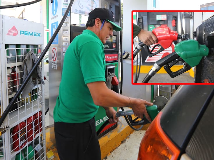 ¿Magna o Premium? Expertos explican cuál gasolina conviene más según tu auto