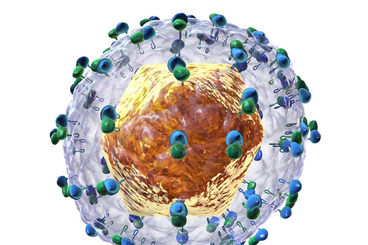 Hepatitis C: México tiene tratamiento gratuito que permite la curación en sólo tres meses