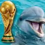 ¿España o Argentina? El delfín ‘Hidalgo’ ya eligió a su favorito para la final de la Copa Mundial 2026 y el video se vuelve viral