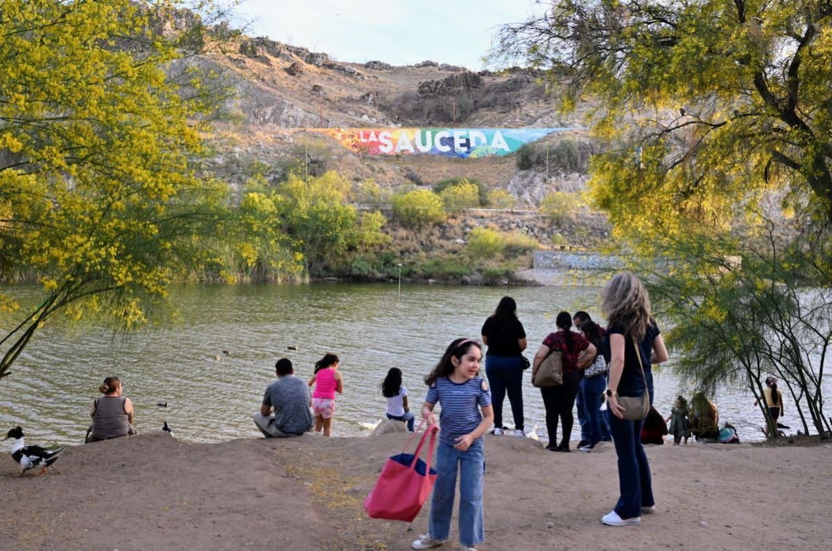 Las actividades ambientales incluyen observación de aves y recorridos por el humedal de La Sauceda.