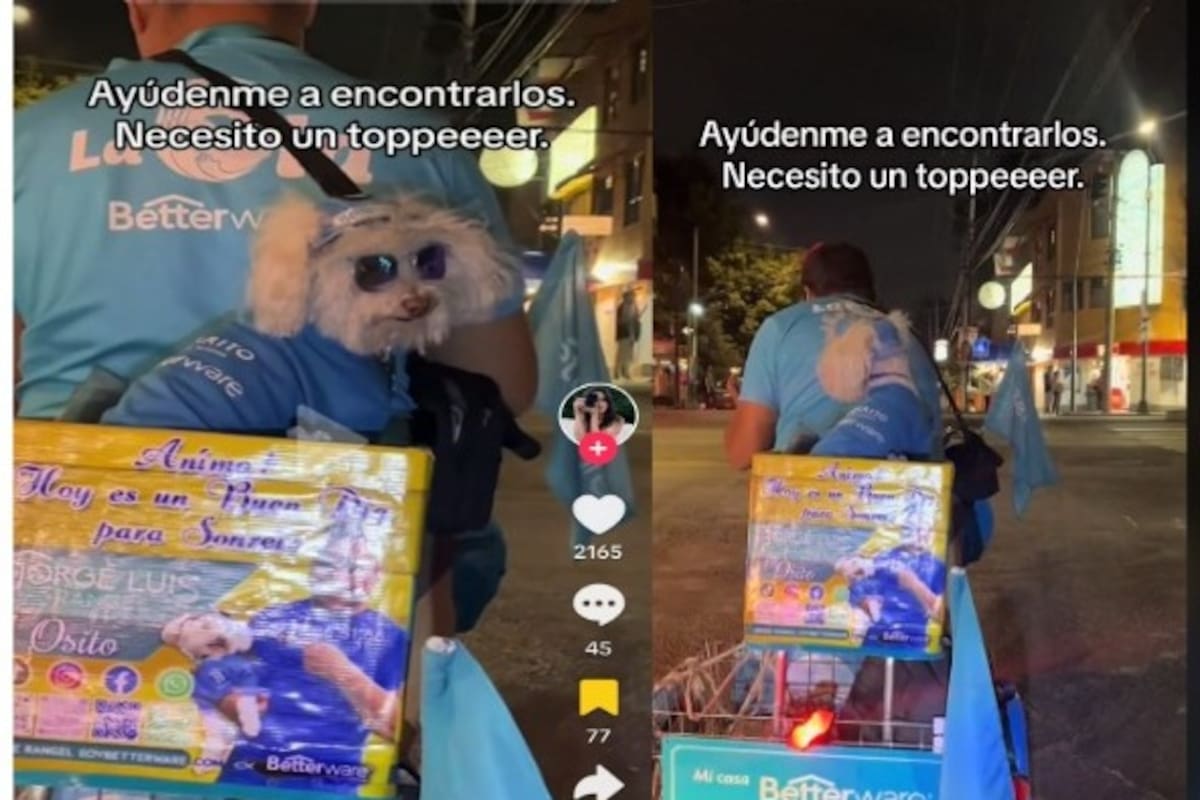 Joven busca a perrito vendedor  de productos de catálogo