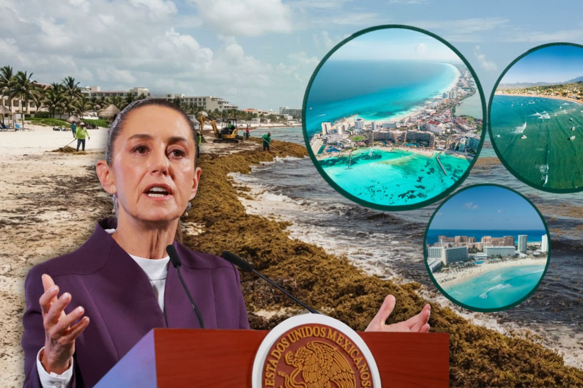 115 millones de dólares forman parte del plan de Claudia Sheinbaum para detener el sargazo que invade las playas de Quintana Roo y afecta a uno de los principales destinos turísticos de México