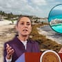 115 millones de dólares forman parte del plan de Claudia Sheinbaum para detener el sargazo que invade las playas de Quintana Roo y afecta a uno de los principales destinos turísticos de México