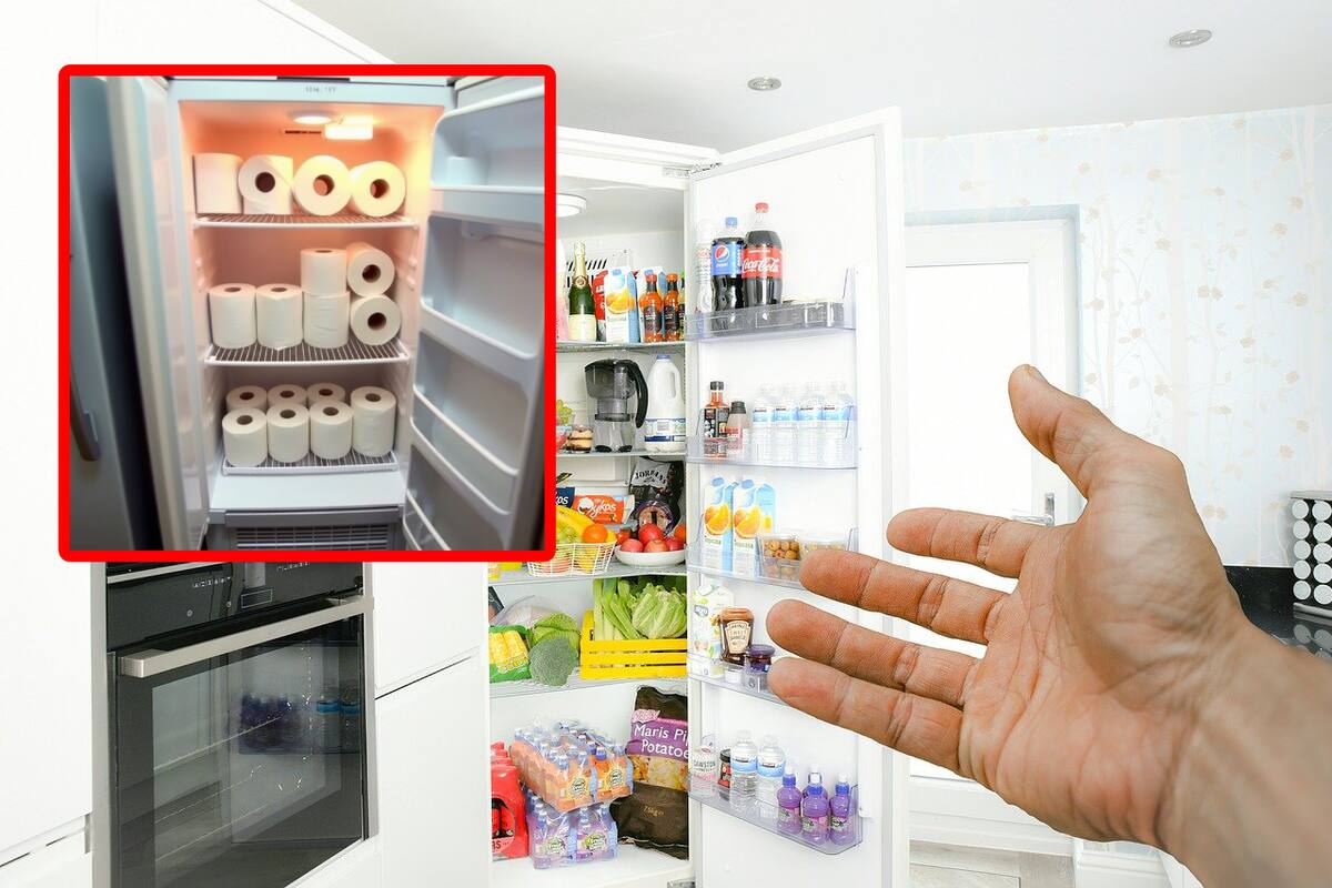 La IA no recomienda colocar papel higiénico dentro del refrigerador: ¿Por qué?