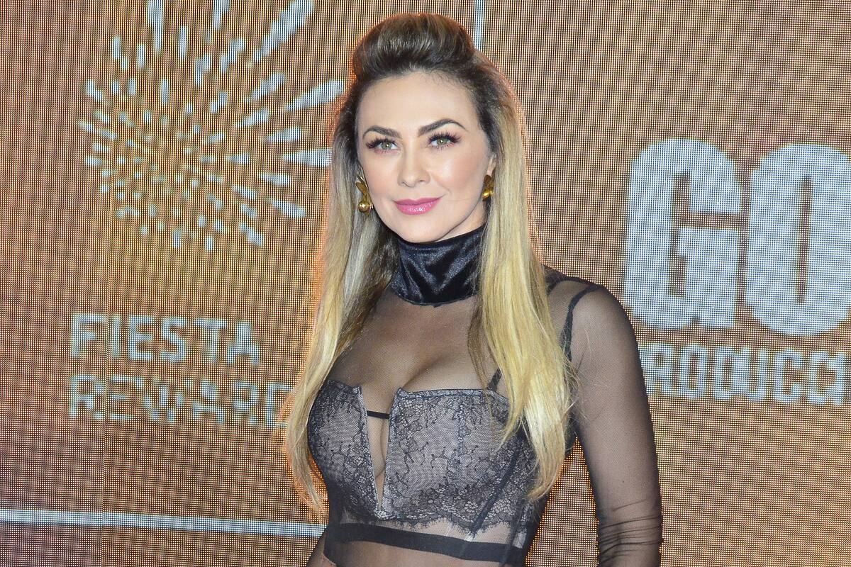Aracely Arámbula revela que tenía planes de trabajo con Nicandro Díaz